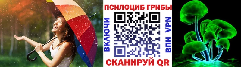 Купить где  Щёлкино  Галлюциногенные грибы Psilocybe 